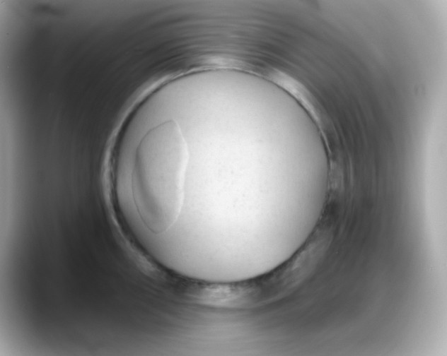 X0000088381098200706051055