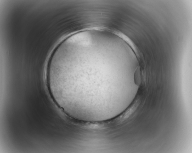 X0000088381099200706051055