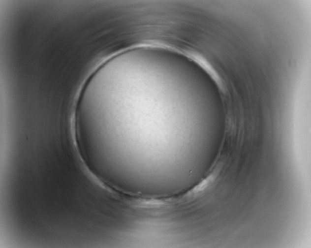 X0000088381100200706051055