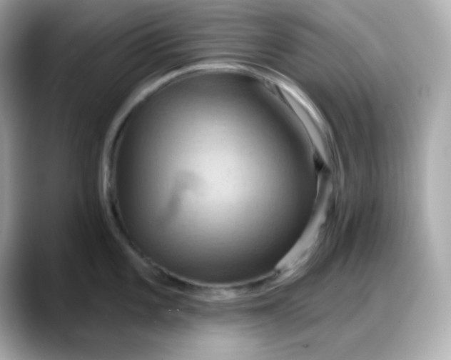 X0000088381101200706051055