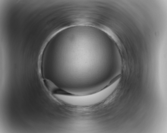 X0000088381102200706051055