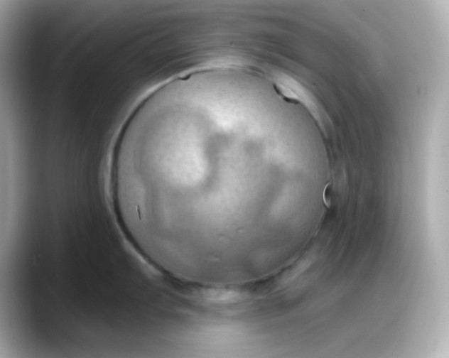 X0000088381103200706051055