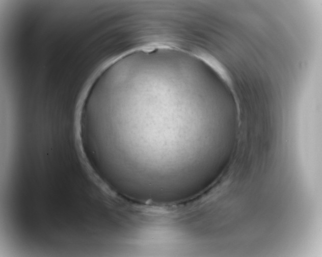 X0000088381104200706051055