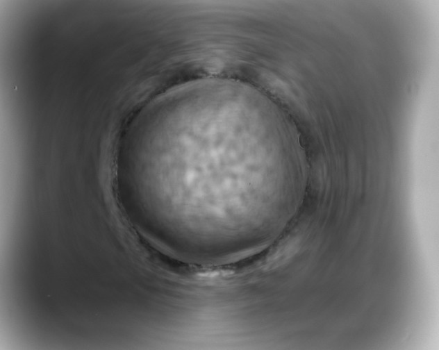 X0000088381105200706051054