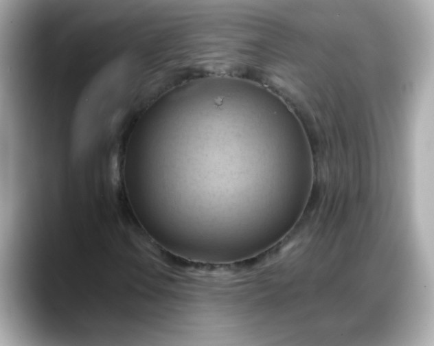 X0000088381106200706051054