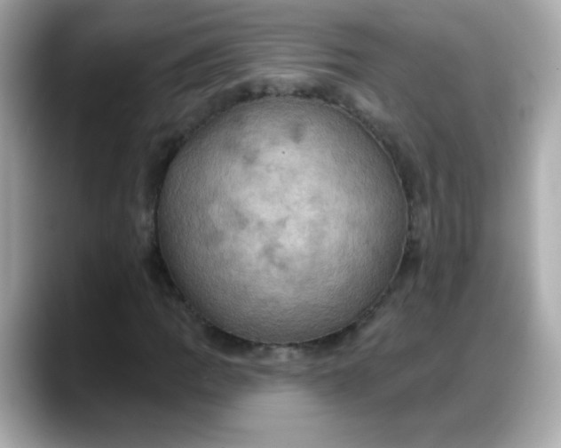 X0000088381109200706051054