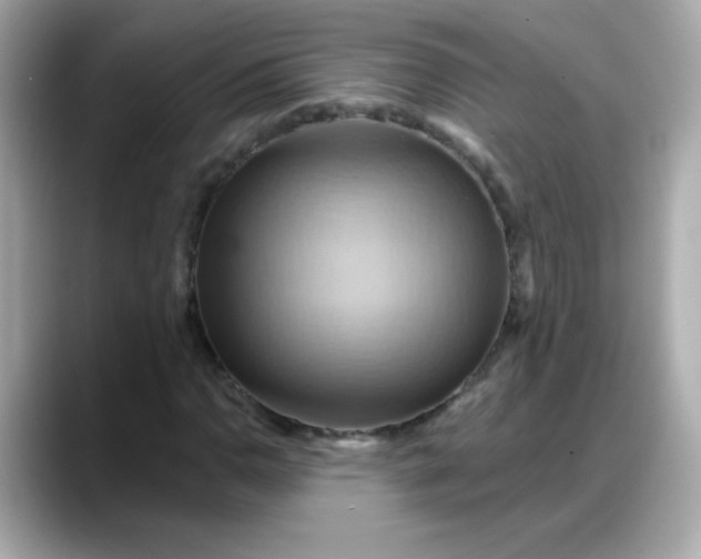 X0000088381110200706051054