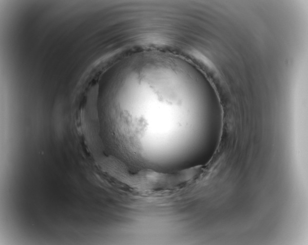 X0000088381112200706051054