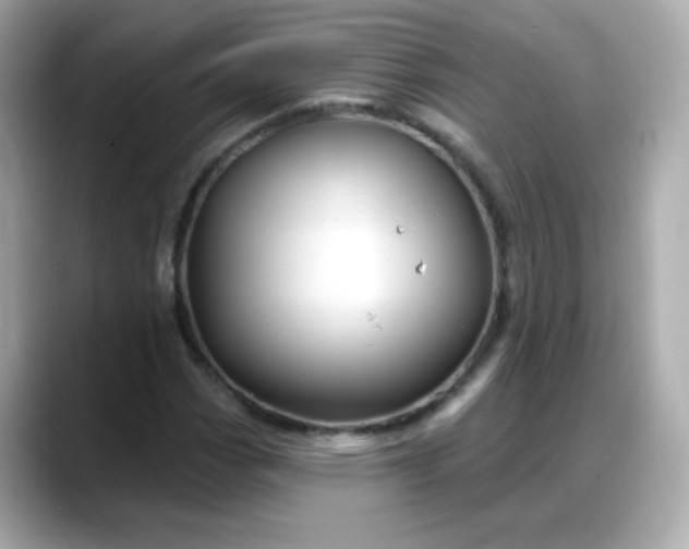 X0000088381113200706051054