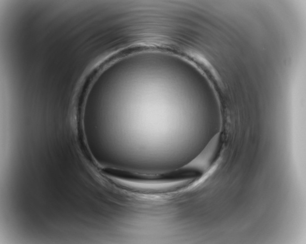 X0000088381114200706051054