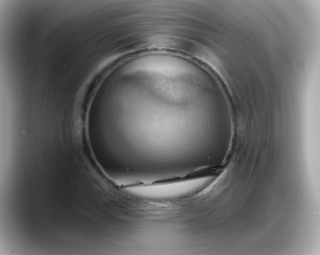 X0000088381115200706051054