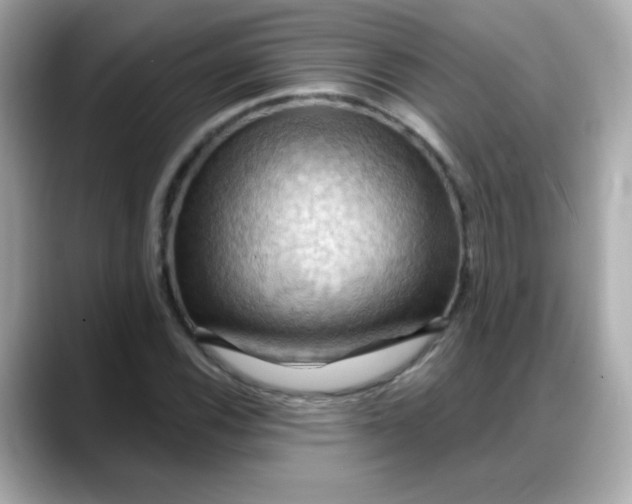 X0000088381116200706051054