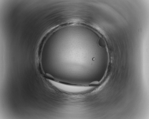 X0000088381117200706051054