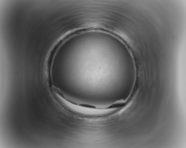 X0000088381118200706051054