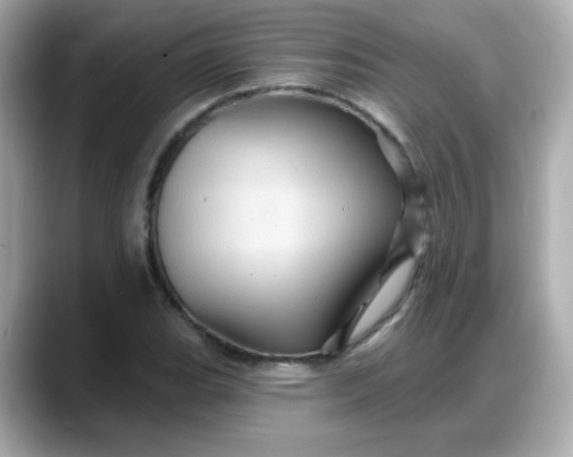 X0000088381119200706051054