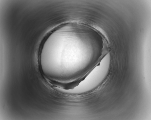 X0000088381120200706051054