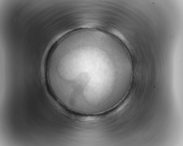 X0000088381122200706051054