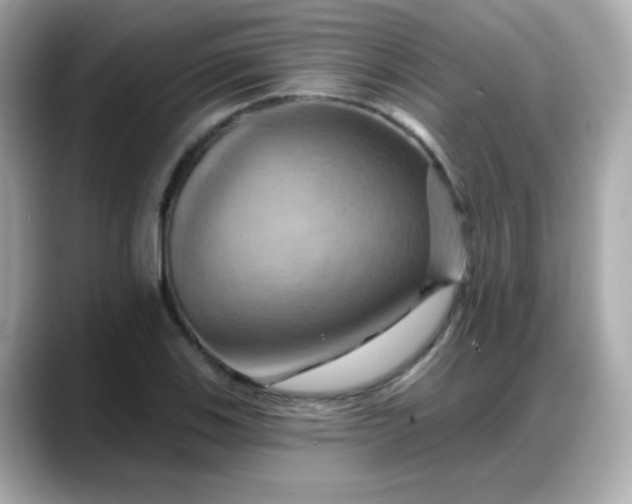 X0000088381123200706051054