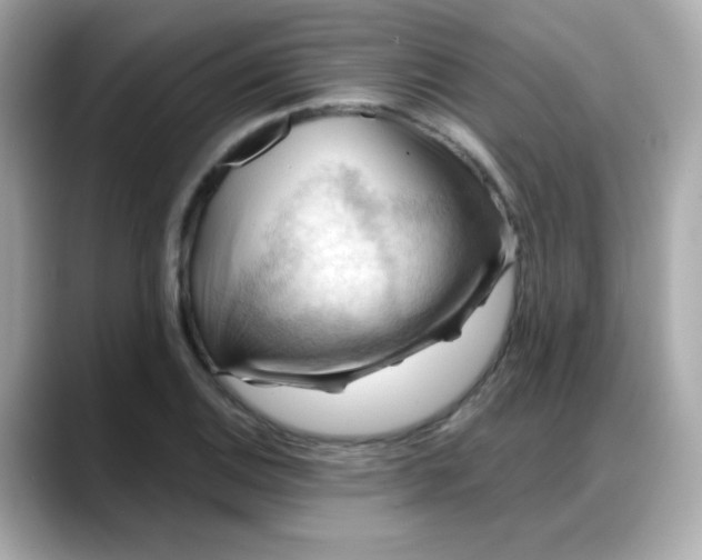 X0000088381124200706051054