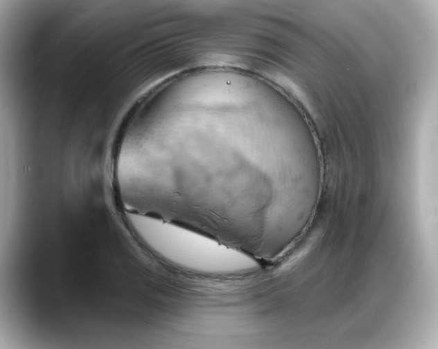 X0000088381125200706051054