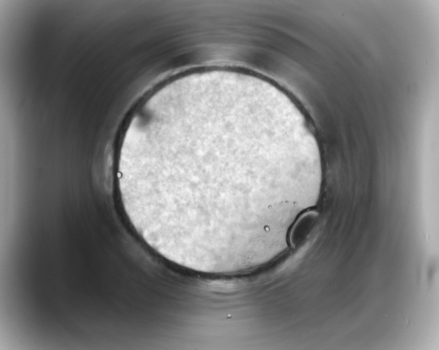X0000088381126200706051055