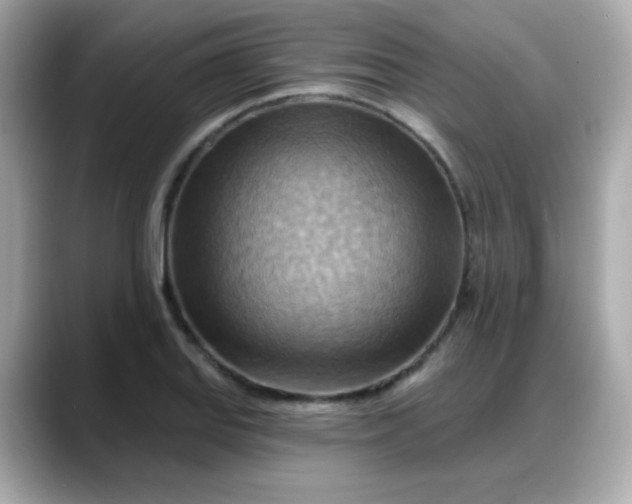 X0000088381127200706051055