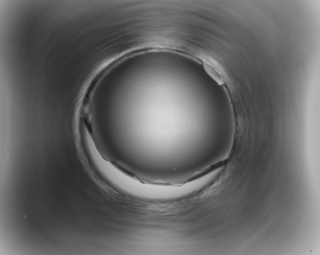 X0000088381128200706051055