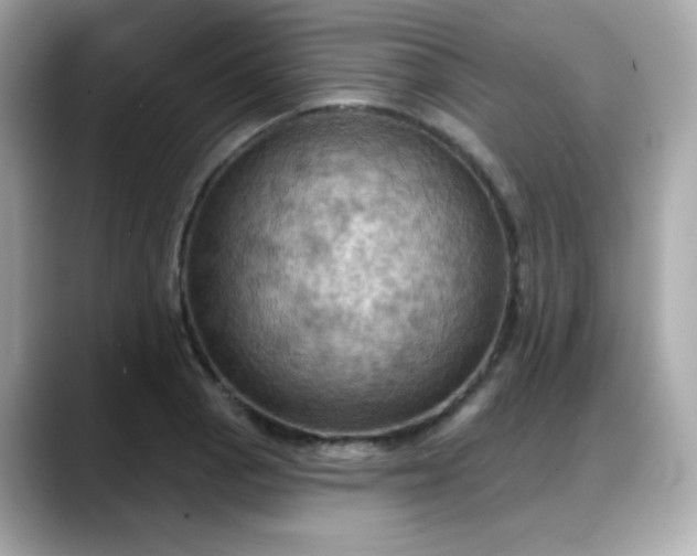 X0000088381129200706051055