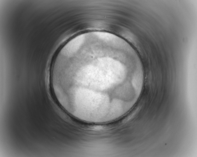 X0000088381130200706051055