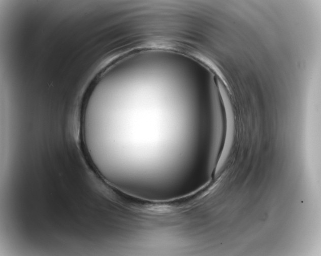 X0000088381131200706051055