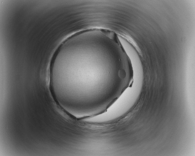 X0000088381132200706051055