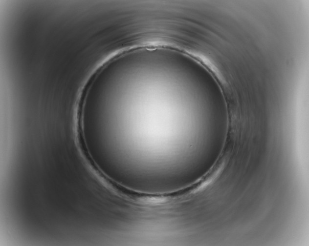 X0000088381134200706051055