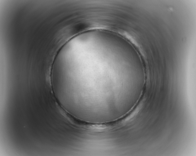 X0000088381137200706051055