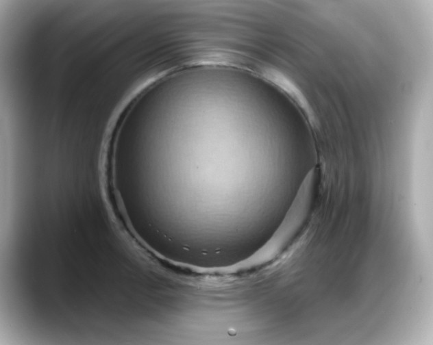 X0000088381138200706051055