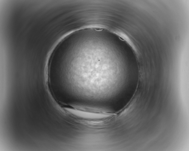 X0000088381140200706051055