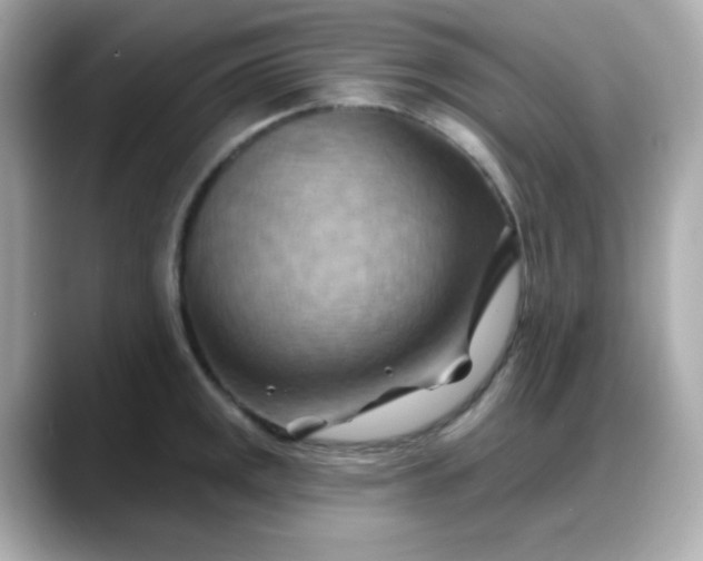 X0000088381141200706051055