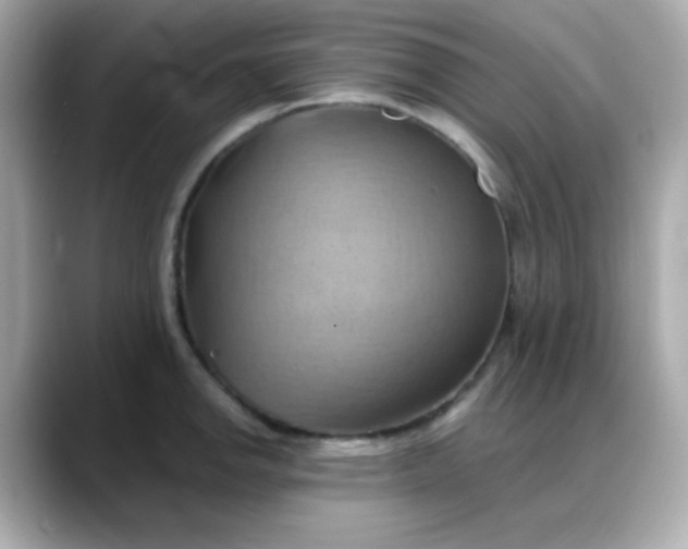 X0000088381142200706051055