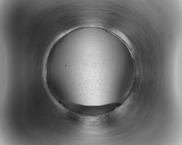 X0000088381144200706051055