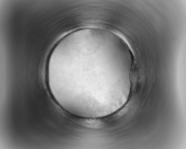 X0000088381147200706051055