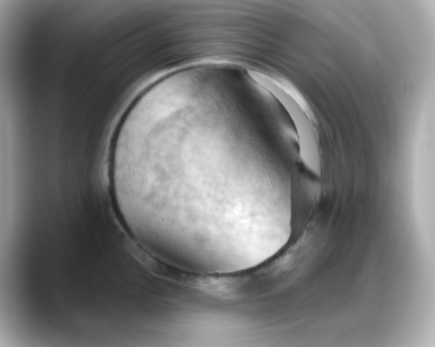 X0000088381148200706051055