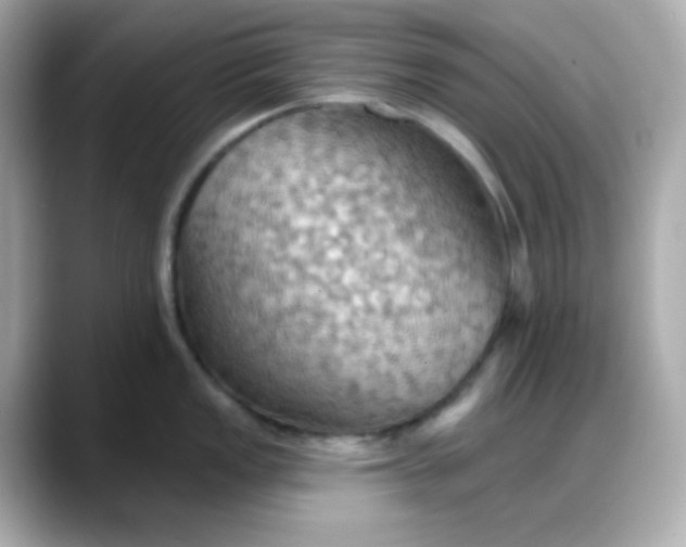 X0000088381149200706051055