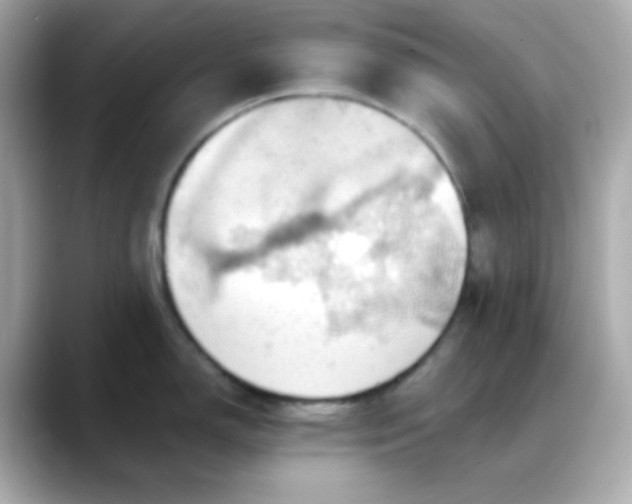 X0000088381150200706051055