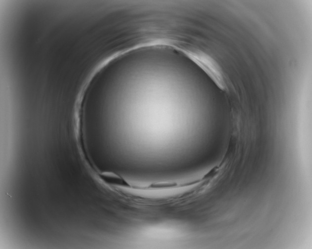 X0000088381151200706051055