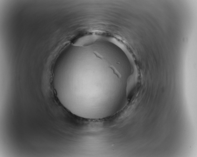 X0000088381153200706051054