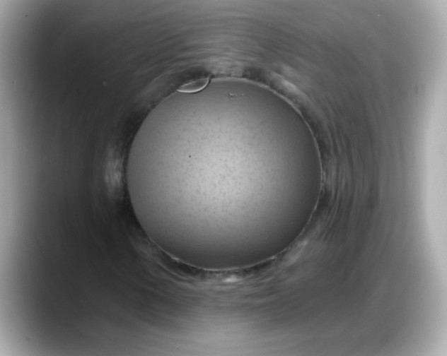 X0000088381154200706051054