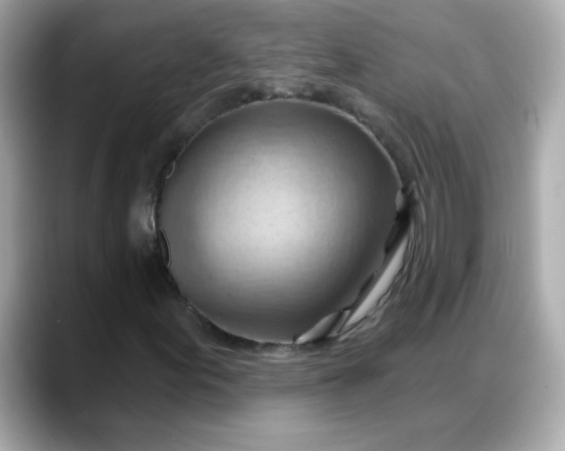 X0000088381155200706051054