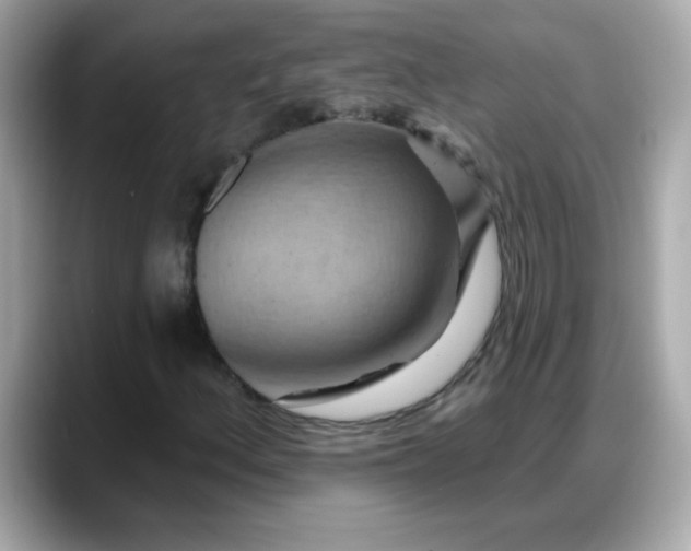 X0000088381156200706051054