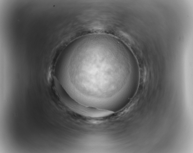 X0000088381157200706051054