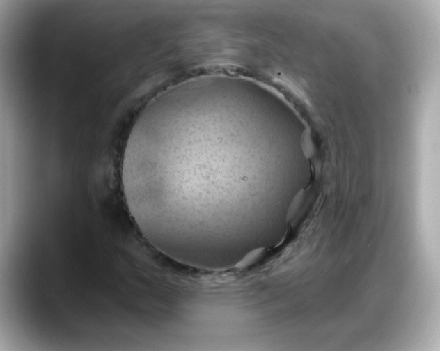 X0000088381159200706051054
