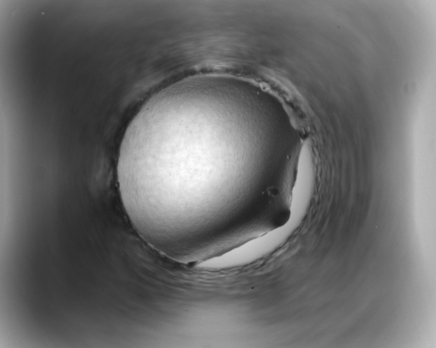 X0000088381160200706051054